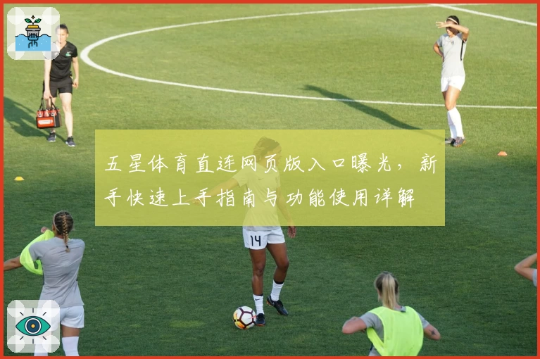 五星体育直连网页版入口曝光，新手快速上手指南与功能使用详解