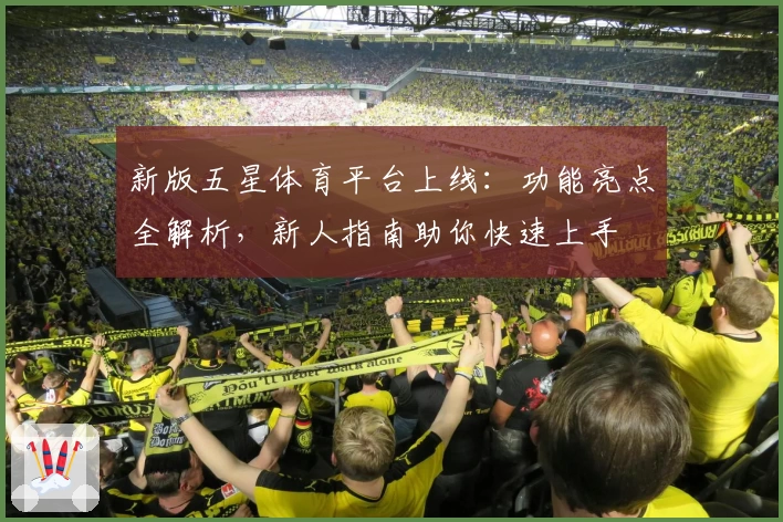 新版五星体育平台上线:功能亮点全解析,新人指南助你快速上手