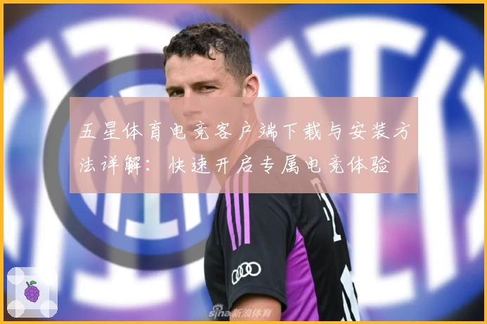 五星体育电竞客户端下载与安装方法详解：快速开启专属电竞体验