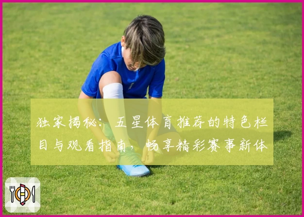 独家揭秘:五星体育推荐的特色栏目与观看指南,畅享精彩赛事新体验