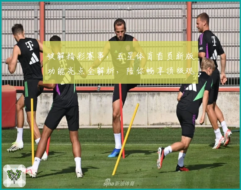 破解精彩赛事，五星体育首页新版功能亮点全解析，陪你畅享顶级观看体验