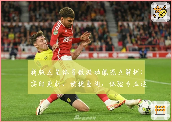 新版五星体育数据功能亮点解析：实时更新、便捷查询，体验专业运动数据服务